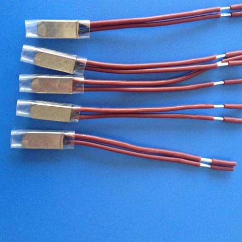 BW-A1D Motor thermal protector thermal switch
